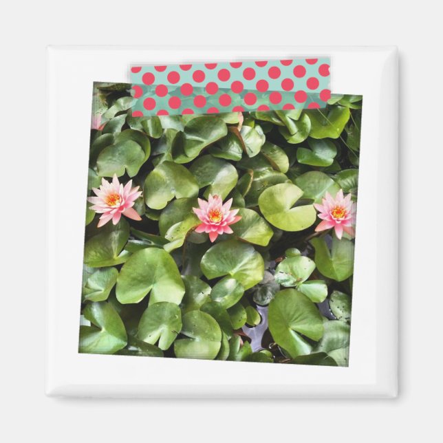 Íman Magnet de Instagram de Fita de Washington de Ponto (Frente)