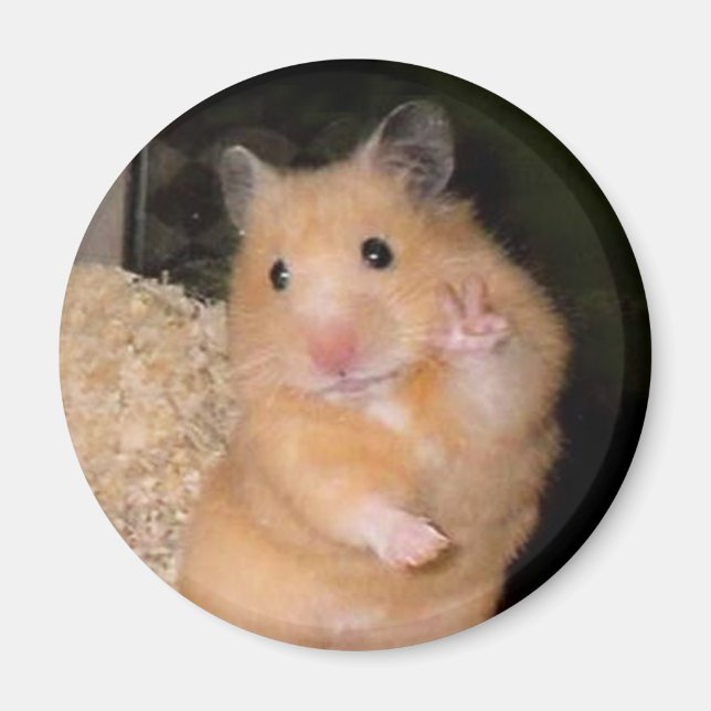 Íman Magnet de Memória do Hamster da Paz (Frente)