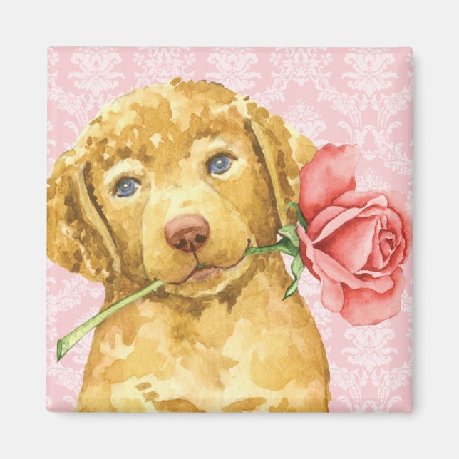 Íman Magnet de namorados Rosa Chesapeake Bay Retriever (Frente)