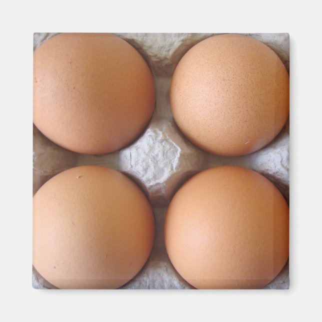 Íman Magnet De Ovos Castanhos (Frente)