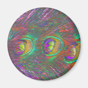 Íman Magnet de Penas de Peacock de Natal