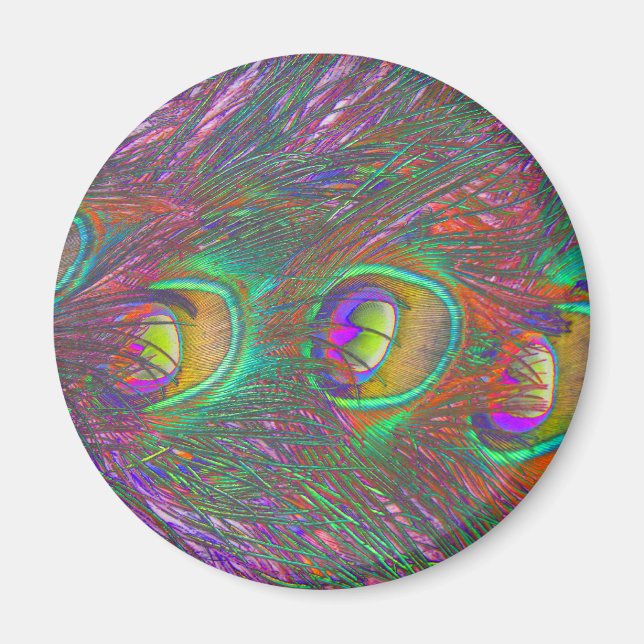 Íman Magnet de Penas de Peacock de Natal (Frente)