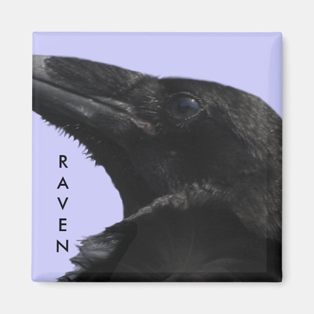 Íman Magnet de Perfil Raven (Frente)