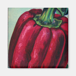 Íman Magnet De Pimenta Vermelha Vintage