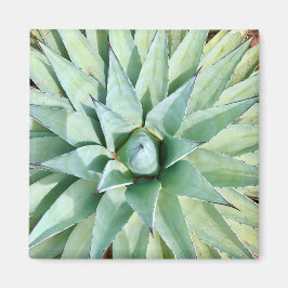 Íman Magnet De Planta Agave Verde De Sedona