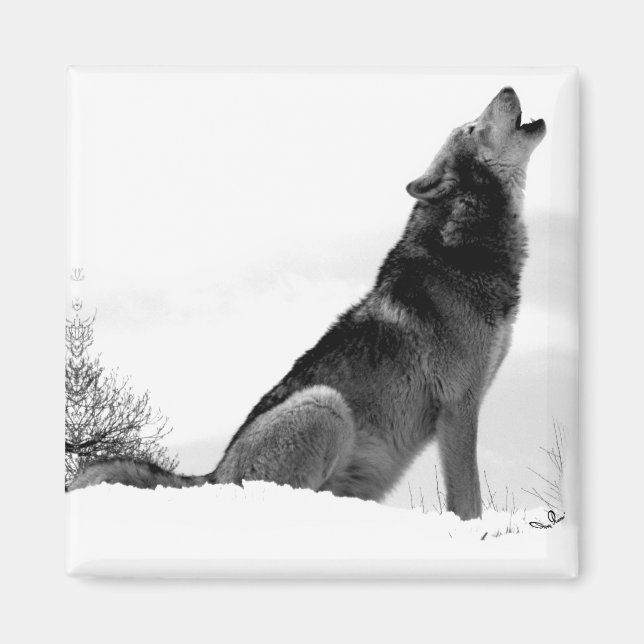 Íman Magnet De Refig Do Lobo Da Madeira Do Alasca (Frente)