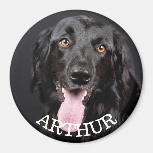 Íman Magnet de Refrigerador de Fotos de Cães Personali