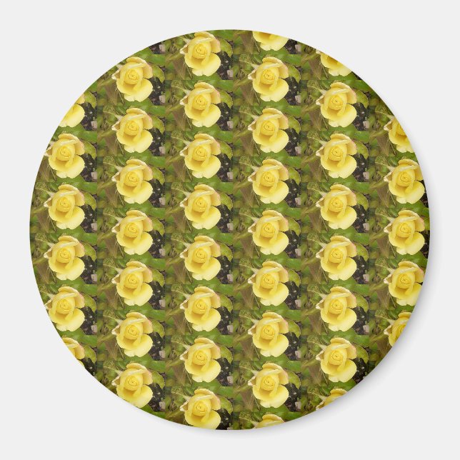 Íman Magnet de Rosebuds Amarelos (Frente)