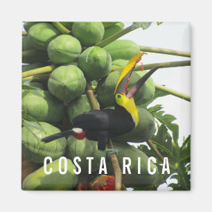 Íman Magnet De Souvenir, Tropical Costa Rica