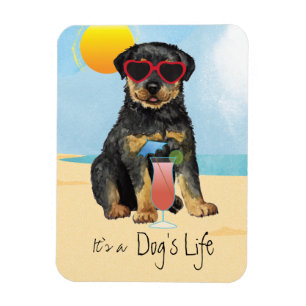 Íman Magnet de Summer Rottweiler