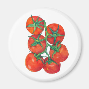 Íman Magnet de tomate vermelho