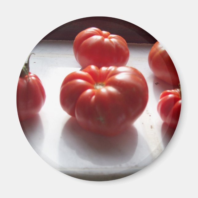 Íman Magnet De Tomates (Frente)