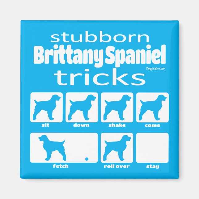Íman Magnet de Truques Brittany Spaniel Stubborn (Frente)