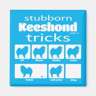 Íman Magnet de Truques de Keeshond Stubborn