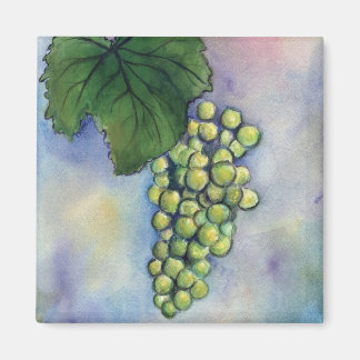 Íman Magnet De Uvas De Vinho Chardonnay