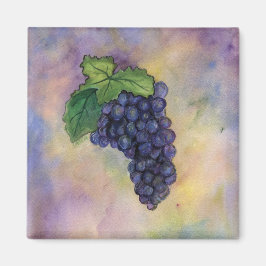 Íman Magnet De Uvas De Vinho Pinot Noir
