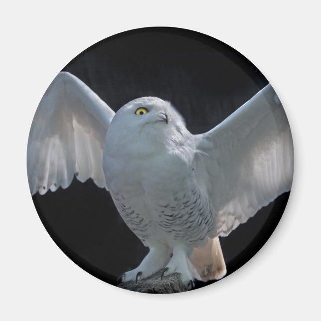 Íman Magnet De Verificação Antes Do Voo (Frente)