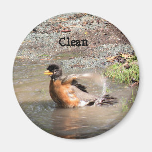 Íman Magnet, Dishwasher, Clean Robin