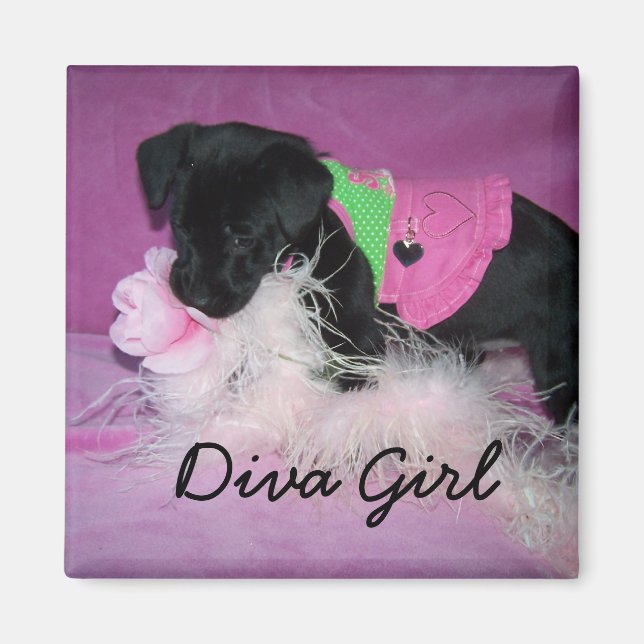 Íman Magnet, Diva Girl (Frente)