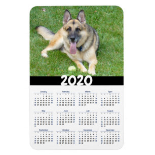 Íman Magnet do Calendário do German shepherd Dog 2020