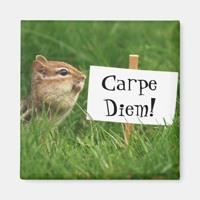 Íman Magnet do chipset Carpe Diem (Frente)
