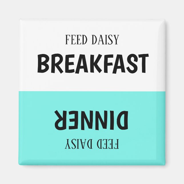 Íman Magnet do Controlador de Alimentação de Pet Person (Frente)