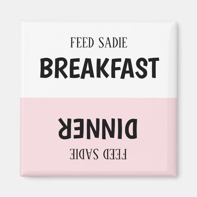 Íman Magnet do Controlador de Alimentação de Pet Person (Frente)