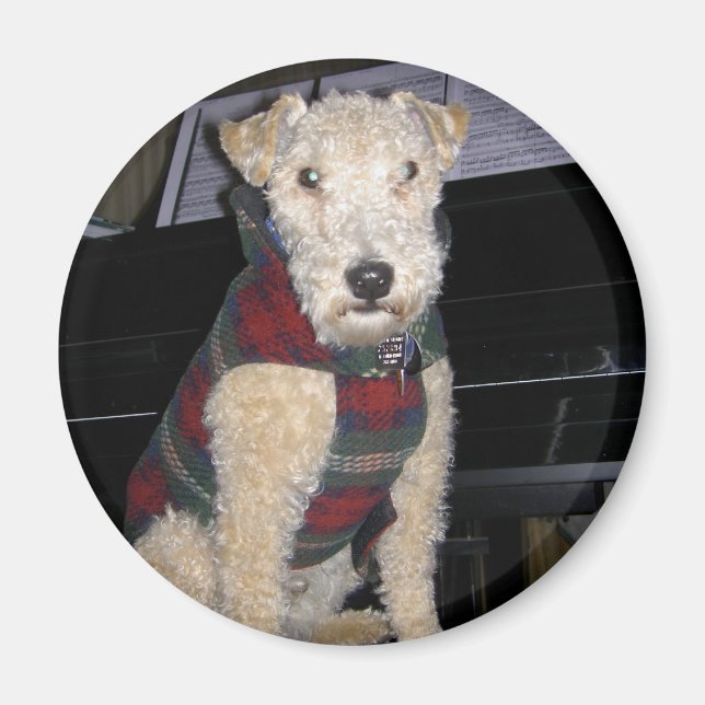 Íman Magnet do Maestro Groupie (Frente)