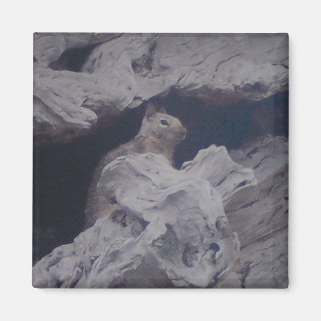 Íman Magnet do Observador Silencioso (Frente)