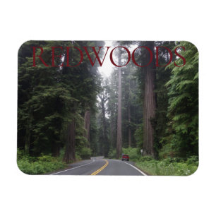 Íman Magnet do Parque Nacional das Sequoias