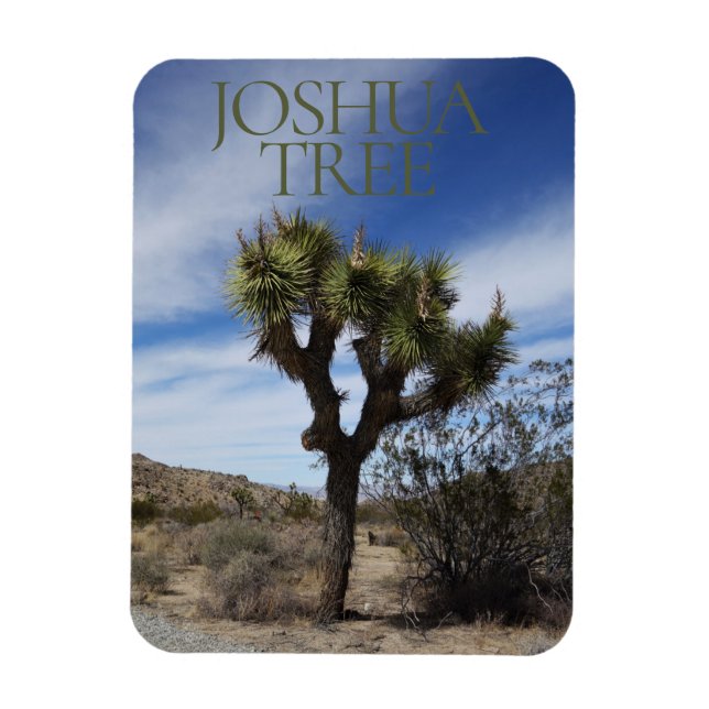 Íman Magnet do Parque Nacional de Joshua Tree (Vertical)