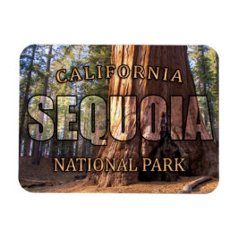 Íman Magnet do Parque Nacional Sequoia