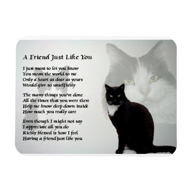 Íman Magnet do Poem, amigo do Cat Design (Horizontal)