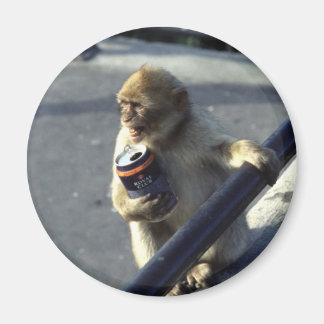 Íman Magnet do Problema de Bebida Macaco