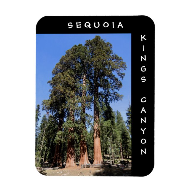 Íman Magnet do Sequoia Kings Canyon (Vertical)