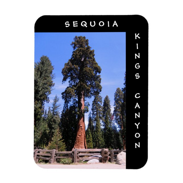 Íman Magnet do Sequoia Kings Canyon (Vertical)