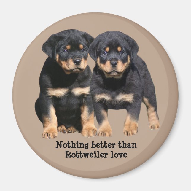 Íman Magnet dos Buddies Rottweiler (Frente)
