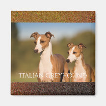 Magnet dos galgos italianos