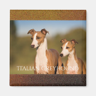 Íman Magnet dos galgos italianos