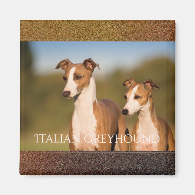Íman Magnet dos galgos italianos (Frente)