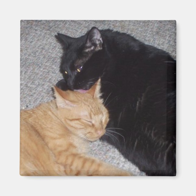 Íman Magnet dos melhores amigos (Frente)