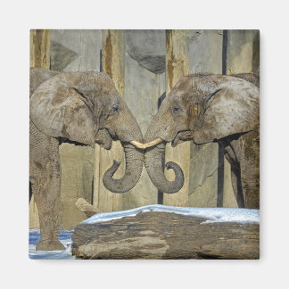 Íman Magnet dos Melhores Amigos dos Eletros