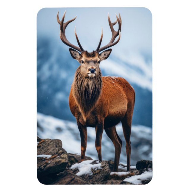 Íman Magnet-Elk (Vertical)