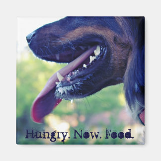 Íman Magnet Faminto para Fridge