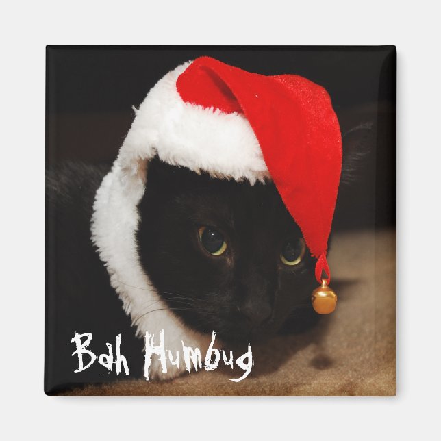 Íman Magnet Feriado Engraçado (Frente)