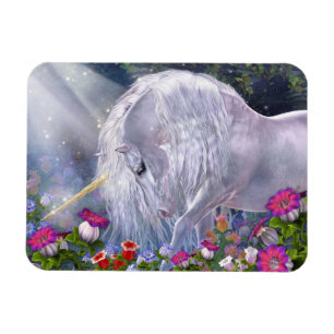 Íman Magnet Flexi Avalon