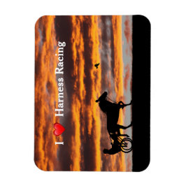 Íman Magnet Flexível De Cavalo De Trote Padrão