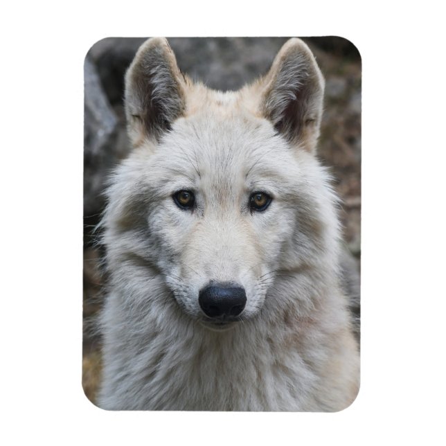ÍMAN  MAGNET FLEXÍVEL DE WOLF BRANCO (Vertical)