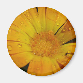 Íman Magnet - Flor amarela com gotas de água