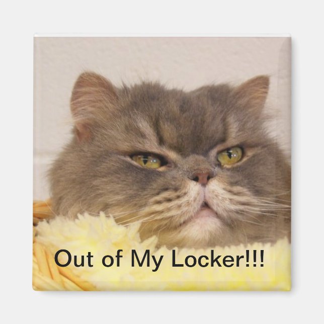 ÍMAN MAGNET FORA DO BLOQUEIO (Frente)